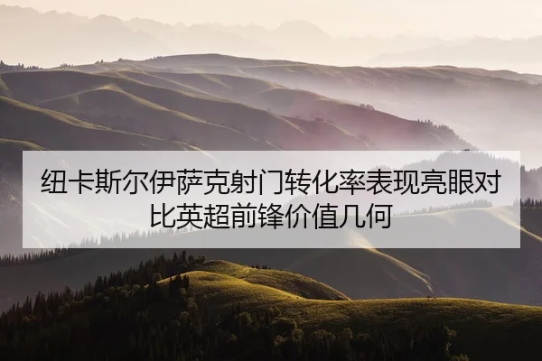 niu-ka-si-er-yi-sa-ke-she-men-zhuan-hua-lv-biao-xian-liang-yan-dui-bi-ying-chao-qian-feng-jia-zhi-ji-he-2-643.jpg