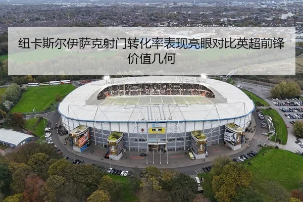 纽卡斯尔伊萨克射门转化率表现亮眼对比英超前锋价值几何